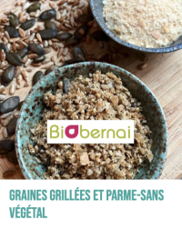 Graines grille?es et parme-sans vegetal Graines grille?es et parme-sans vegetal