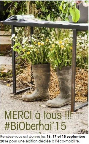 biobernai15_info_merci!